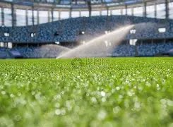 王力宏与李,靓蕾无商业,往来,平博体育官网,PINBO,Sports,足球直播,篮球赛事,体育高清,NBA直播