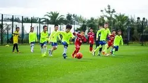 詹姆斯揽三双浓眉贡献29+16+5，主场轻取奇才